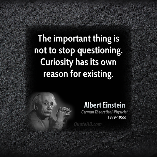 Albert Einstein Never Stop Questioning