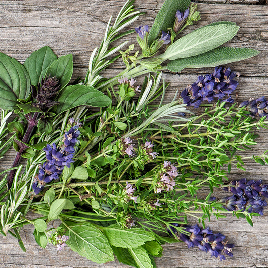 Herbal Basics: Fresh vs Dried Herbs    How to Harvest Fresh Herbs and How Preserve Fresh and Dried Herbs