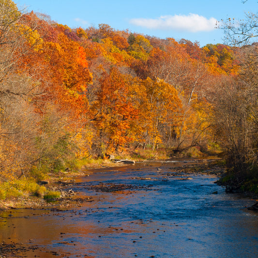 Chagrin Valley Soap . . . What's In A Name?