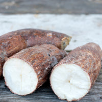 Yucca Root Natural Hair Care