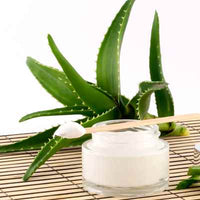 Organic Aloe Vera Butter