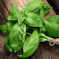 Organic Basil