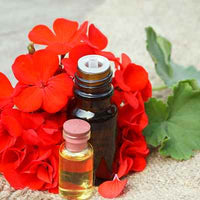 Organic Geranium Essential Oil