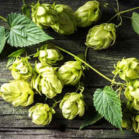 Organic Hops