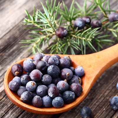 Organic Juniper Berries – Chagrin Valley Soap & Salve