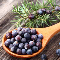 Organic Juniper Berries