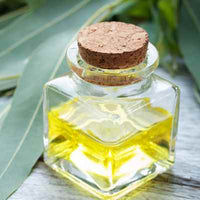 Organic Lemon Eucalyptus Essential Oil