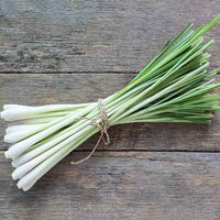 Organic Lemongrass