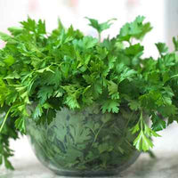 Organic Parsley