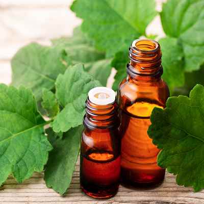 tobacco patchouli essential oil 6 Set, Patchouli, Lavender, Sandalwood, Tobacco, Leather, Campfire 1/2 oz Patchouli Essential Oil