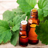 Organic Patchouli Essential Oil