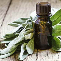 Organic Sage Essential Oil