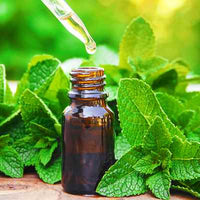 Organic Spearmint Essential Oil