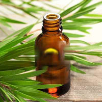 Organic Tea Tree Essential Oil