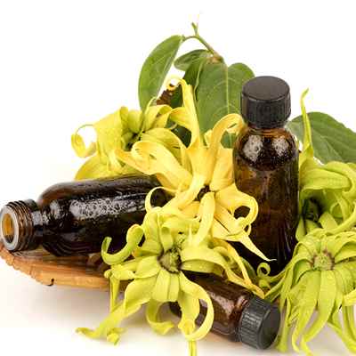 Eshak ichida porno toplar Masha qora tayt porno