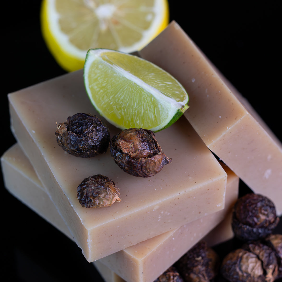 Barra de champú: Soapnuts Citrus Mint