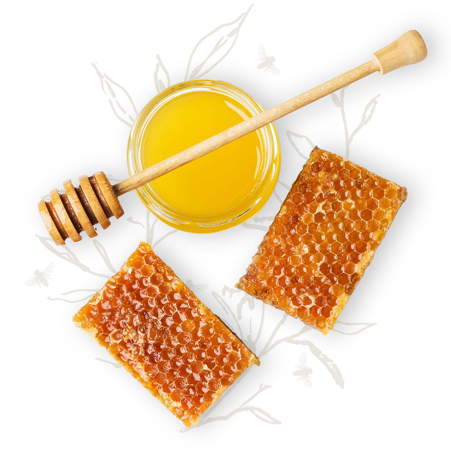 Two honeycombs and a cup of honey