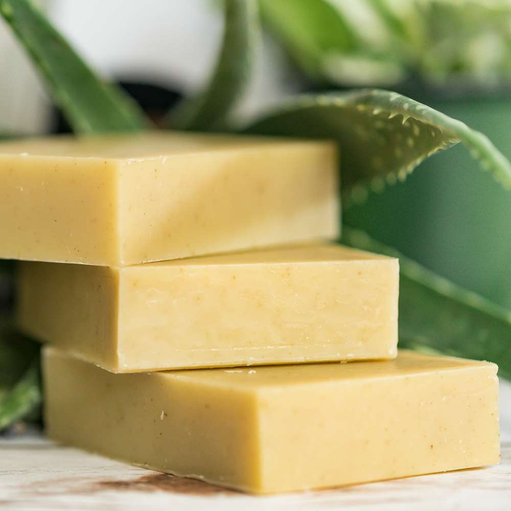 Summer Citrus - Men's Natural & Organic Soap