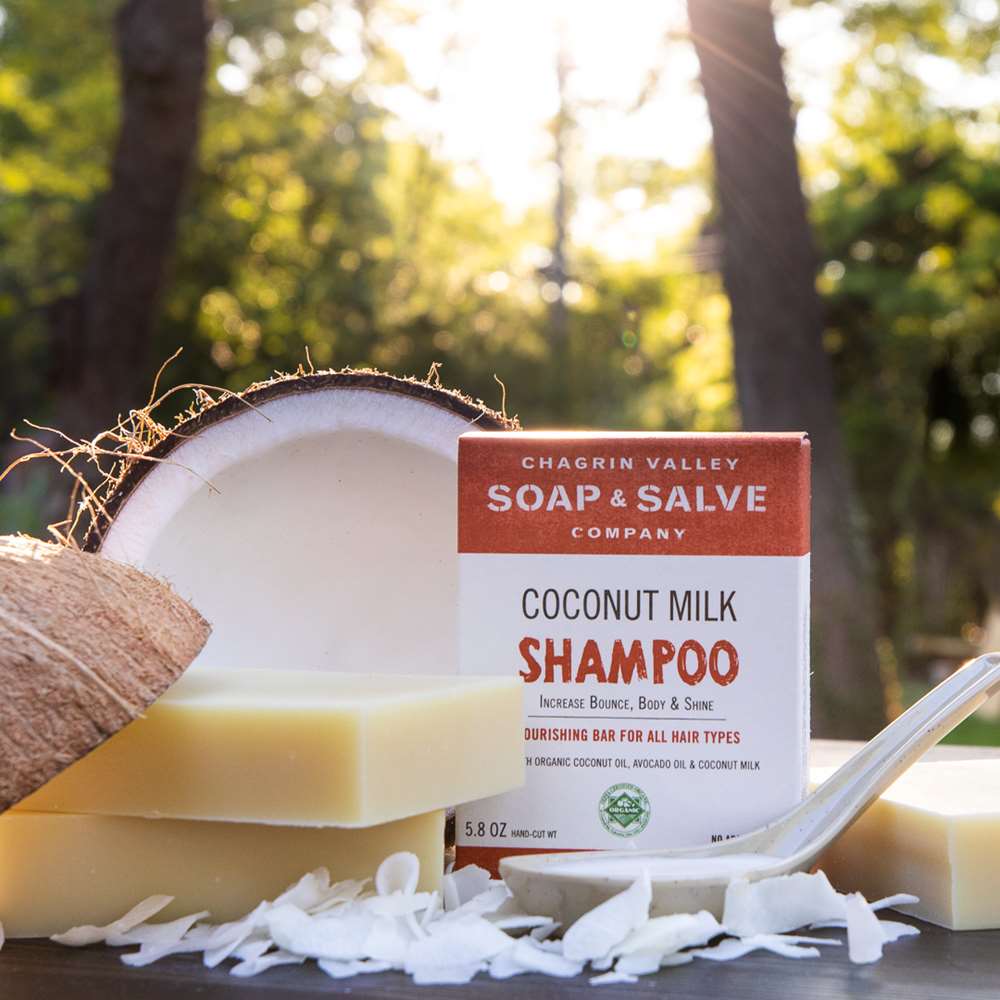 Shampoo Bar: Coconut Milk