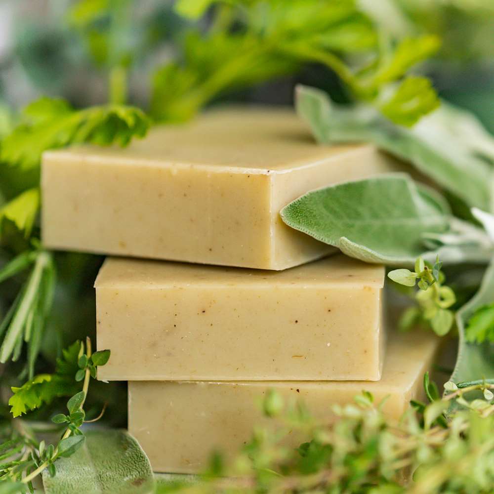 Shampoo Bar: Herb – Chagrin Valley Soap Salve