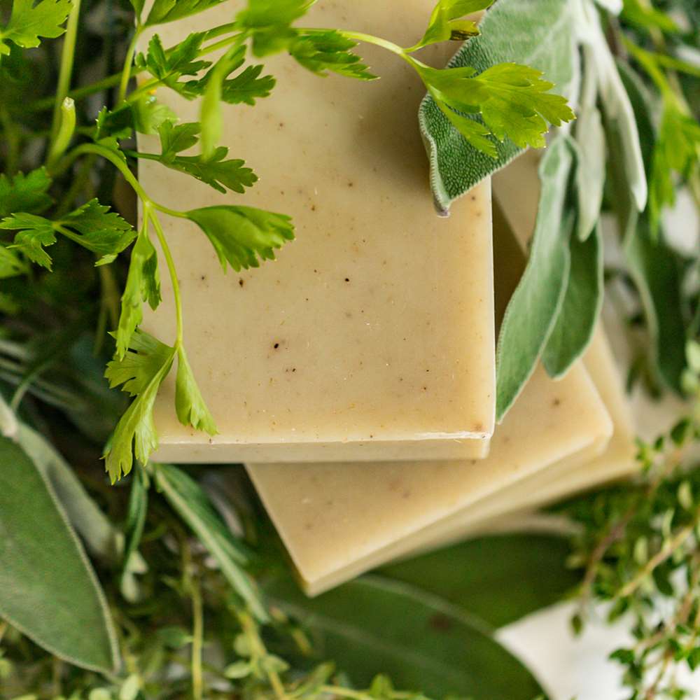 Shampoo Bar: Herb Garden