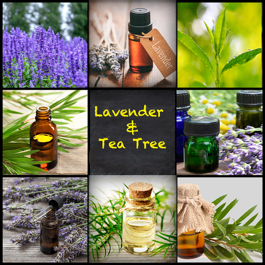 Lavender & Tea Tree Oils
