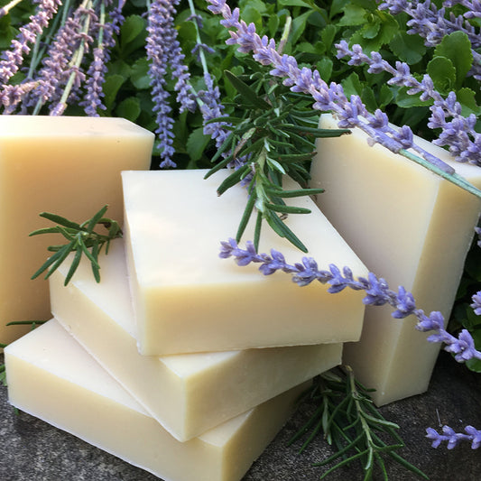 Natural Organic Shampoo Bar Rosemary Lavender 