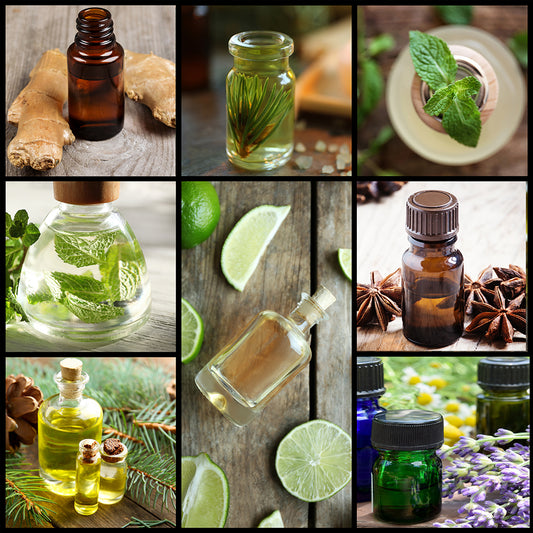 Steam distillation and expression are the only two methods used to obtain "true essential oils"