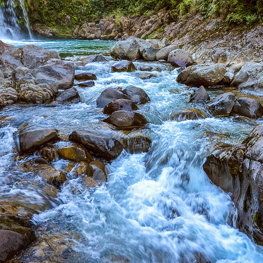 The Effect of Hard Water on Natural Shampoo Bars 