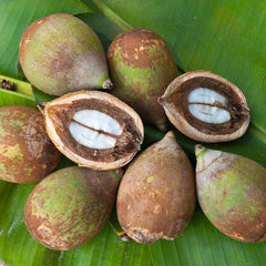 Babassu Oil
