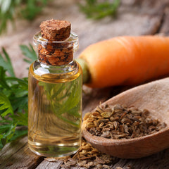 Carrot Seed Essential Oil
