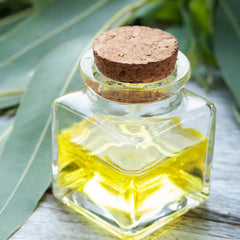 Lemon Eucalyptus Essential Oil