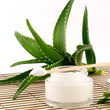 Organic Aloe Vera Butter