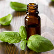 Organic Basil Essential Oil