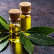 Organic Bay Laurel Essential Oil