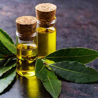 Organic Bay Laurel Essential Oil