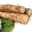 Organic Burdock Root