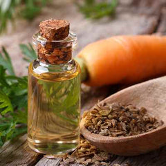 Organic Carrot Seed Essential Oil