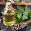 Organic Castor Bean Oil