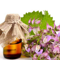 Organic Clary Sage Essential Oil