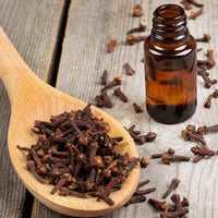 Organic Clove Bud Essential Oil