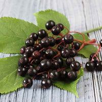 Organic Elder Berries