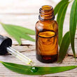 Organic Eucalyptus Essential Oil