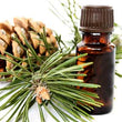 Organic Fir Needle Essential Oil