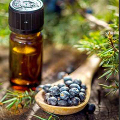 Organic Juniper Berry Essential Oil