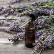 Organic Lavender Essential Oil