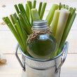 Organic Lemongrass Essential Oil