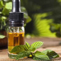 Organic Peppermint Essential Oil