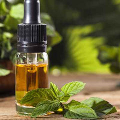 Organic Peppermint Essential Oil