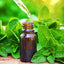 Organic Spearmint Essential Oil